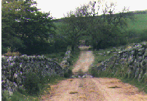 cornish hedge