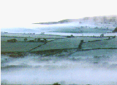 Cornwall morning mist